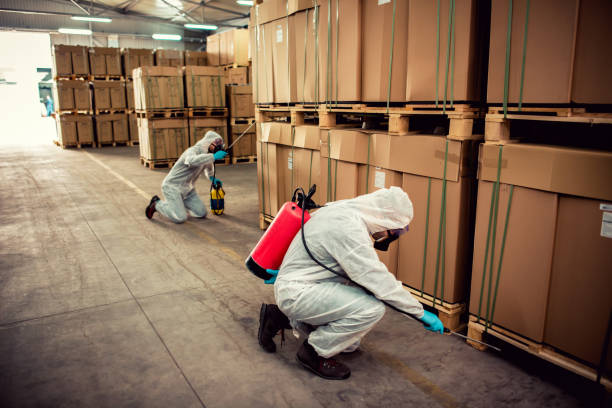 Best Pest Control Treatment  in Santa Teresa, NM