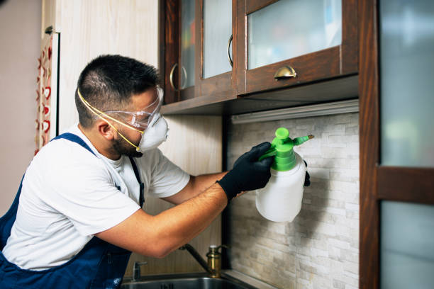 Best Pest Prevention Services  in Santa Teresa, NM