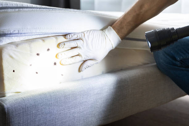 Best Pest Control Near Me  in Santa Teresa, NM