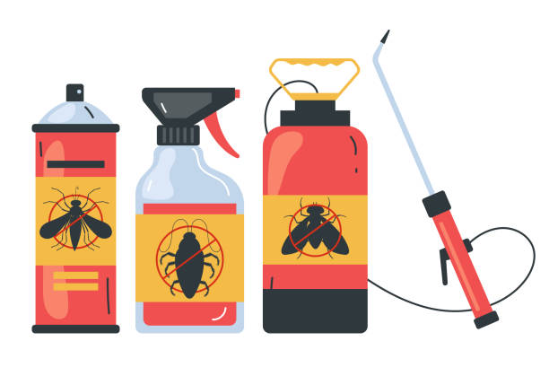 Best Insect Control  in Santa Teresa, NM
