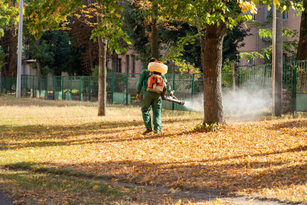 Best Pest Control Treatment  in Santa Teresa, NM