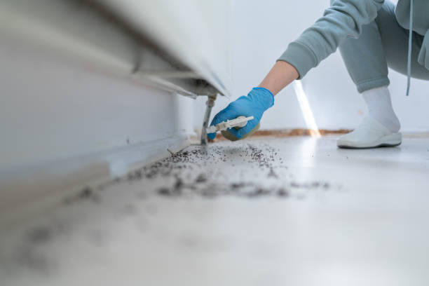 Best Local Pest Control Services  in Santa Teresa, NM